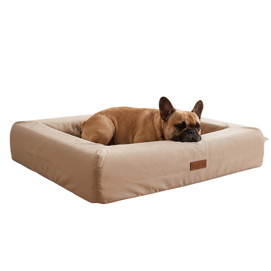 Hond rust met de kop op de ergonomische opstaande rand van de luxe Nola orthopedische hondenmand voor gewrichtsondersteuningv2