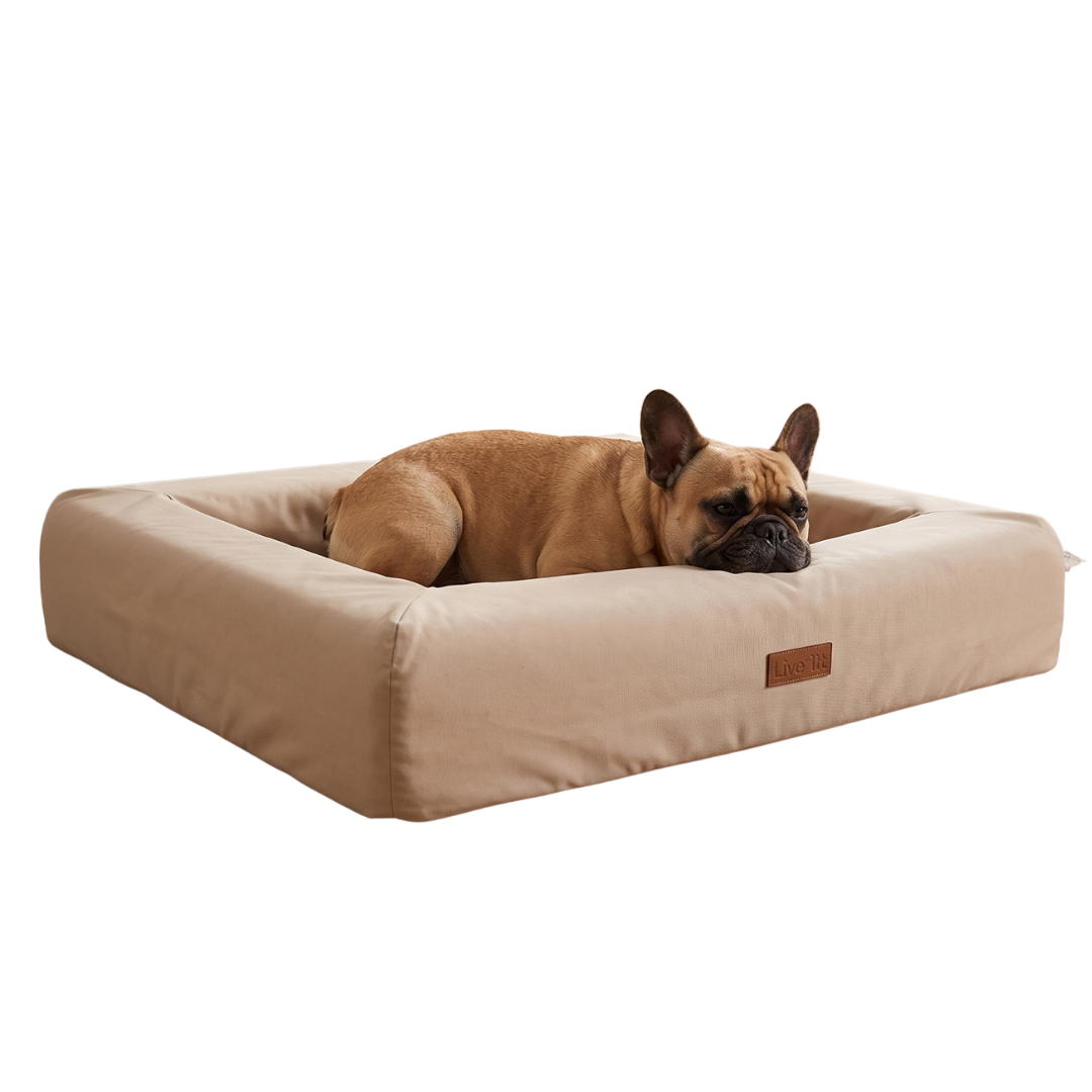 Hond rust met de kop op de ergonomische opstaande rand van de luxe Nola orthopedische hondenmand voor gewrichtsondersteuningv2